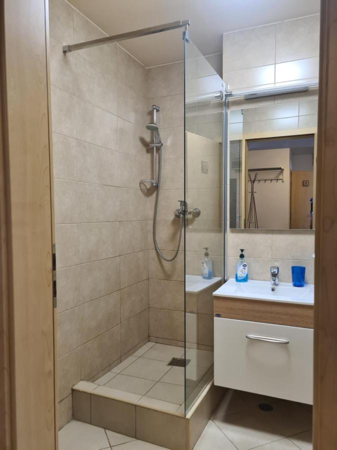 Old Square Apartments 5 蒂米什瓦拉 外观 照片